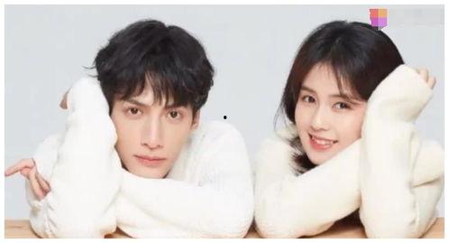 白鹿男朋友最新爆料微博,揭秘恋情背后的甜蜜与挑战