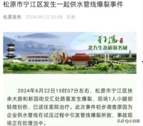 吉林农科爆料事件最新进展,最新进展揭示惊人内幕