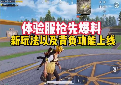 爆料体验服最新玩法视频,爆料视频带你领略游戏革新魅力