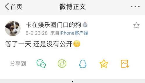 最新吃瓜爆料解说文案