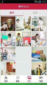 小七最新爆料视频下载,热点事件背后的真相