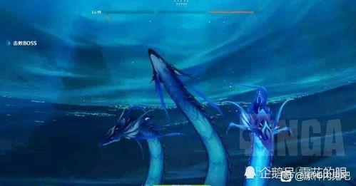 原神吞天之鲸最新爆料视频