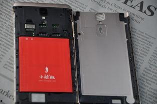 小辣椒杨明明最新动态爆料,揭秘娱乐圈幕后真相